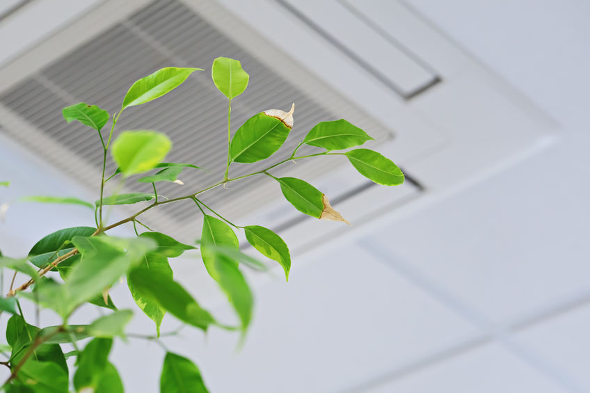Indoor air quality is important, and the team at Metro Services can help ensure yours is up to par.